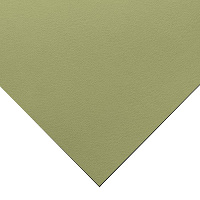 Fabriano Tiziano 50x65cm 160g 11 Light Green **Min Order Quantity of 3**