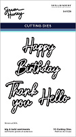Spellbinders Cascading Coneflowers Etched Dies Big & Bold Sentiments by Simon Hurley