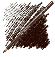 Charcoal Pencil Conté Sepia