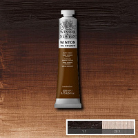 Winton Oil Colour 200ml Burnt Umber
